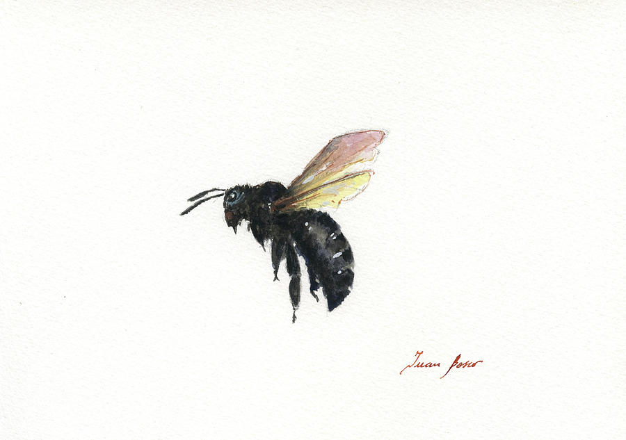 Carpenter Bee #1 Painting by Juan Bosco