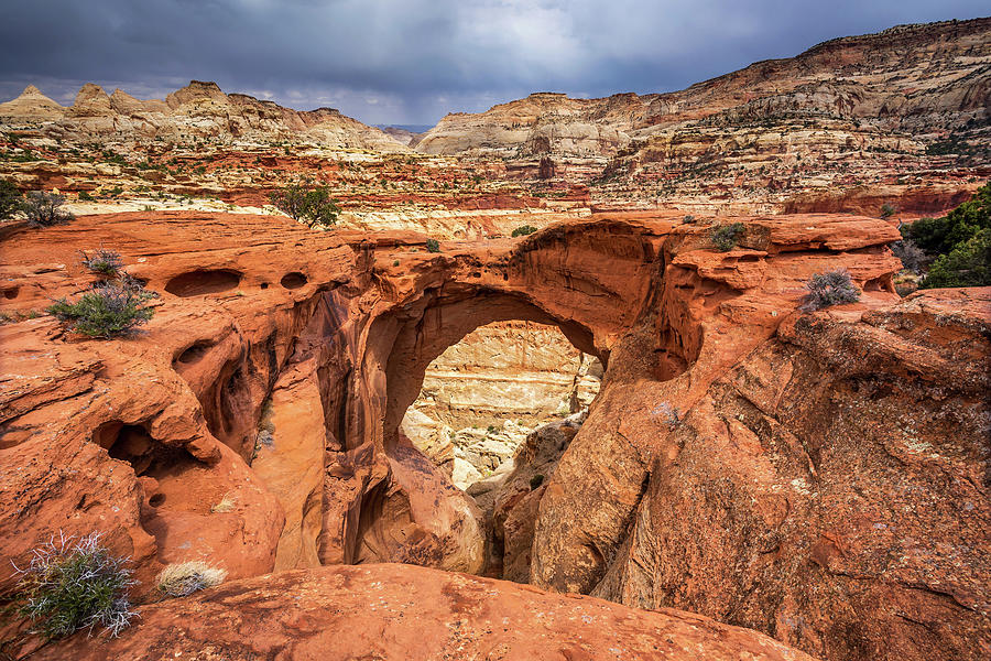 Cassidy Arch in Capitol Reef National Park #1 Photograph by Pierre Leclerc Photography