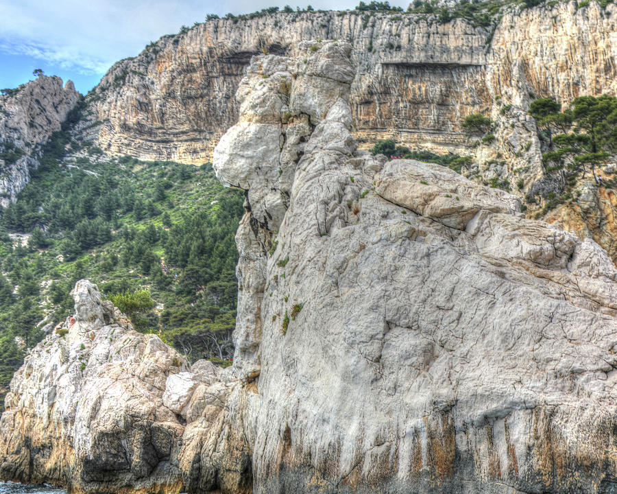 Cassis Frog On Rock Digital Art By Jules Follett Fine Art America 1966