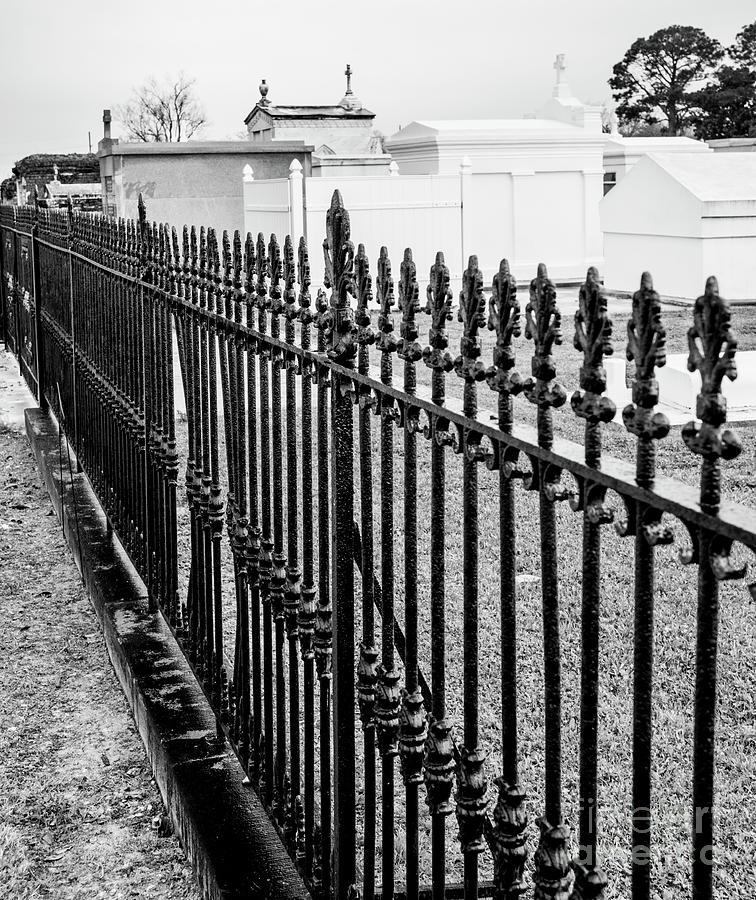 Cast Iron Fence #1 Photograph by Tim Mulina
