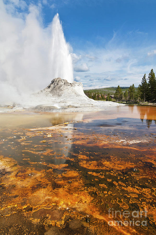 Castle Geyser, Yellowstone national park, Wyoming, USA #2 Photograph by Neale And Judith Clark
