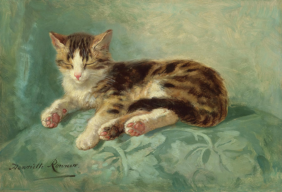 Cat Nap By Henriette Ronner-knip Painting