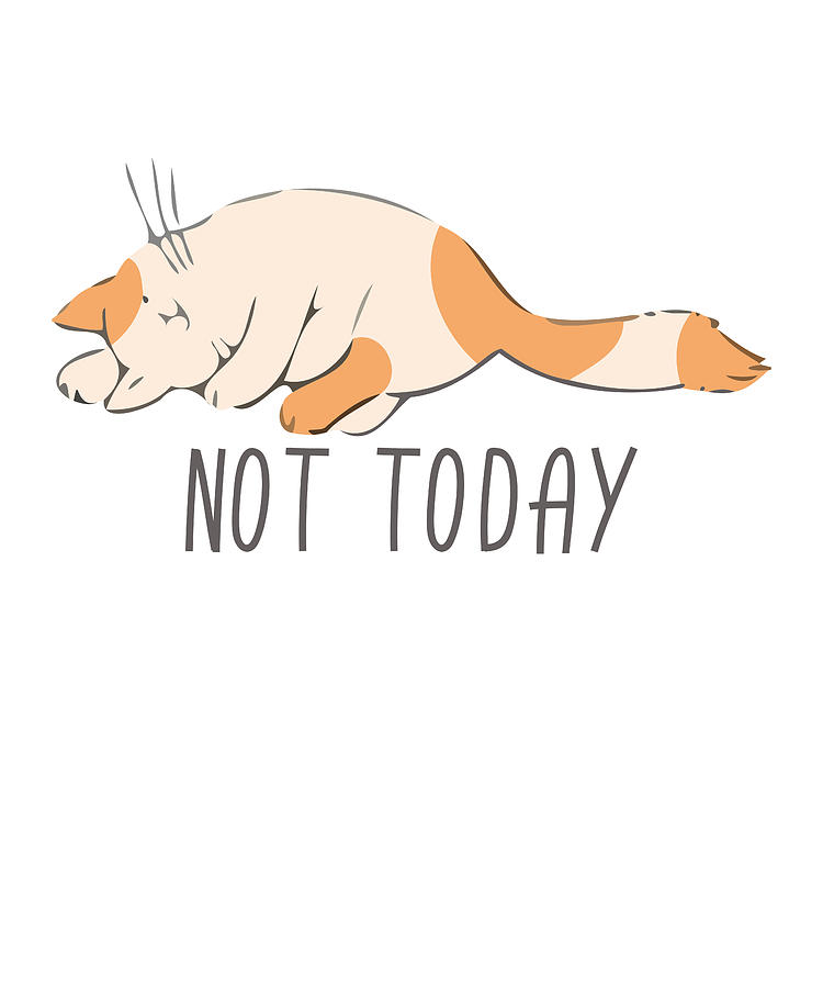 Cat not today best sale