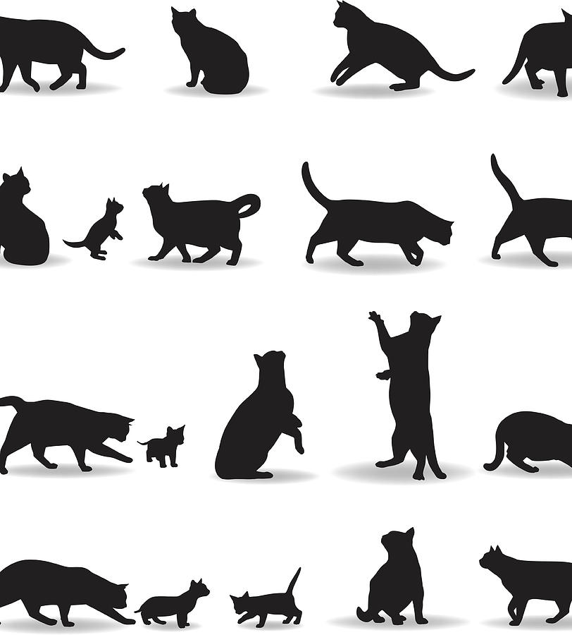 Cat Silhouette #1 Drawing by Vectorig