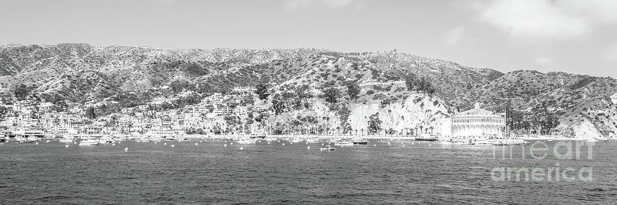 Catalina Island Black and White Panorama Photo #1 Photograph by Paul Velgos