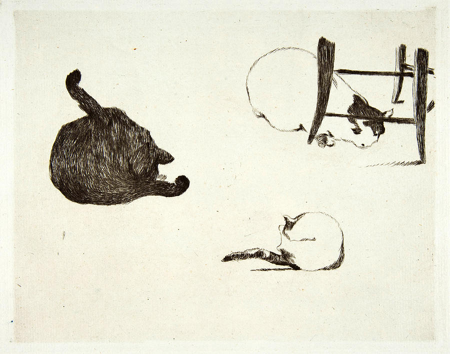 Cats #2 Drawing by Edouard Manet