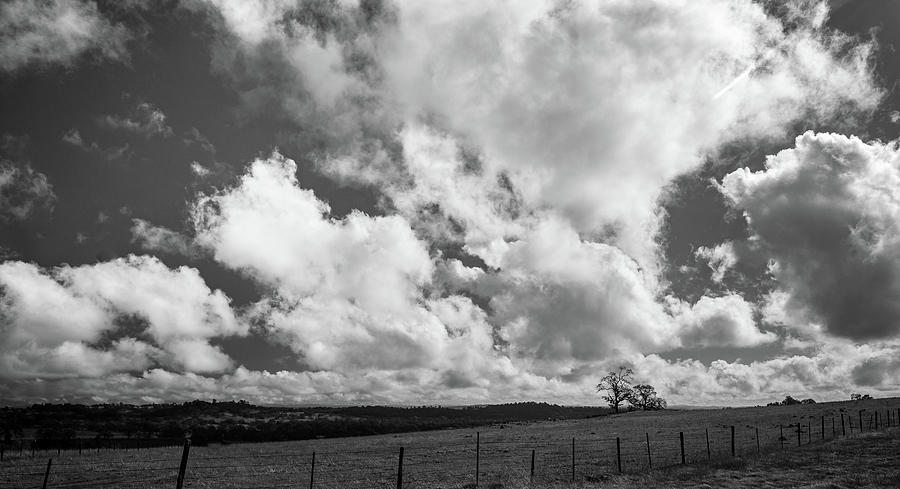 Cattle Ranch Sky #1 Photograph by Mike Fusaro