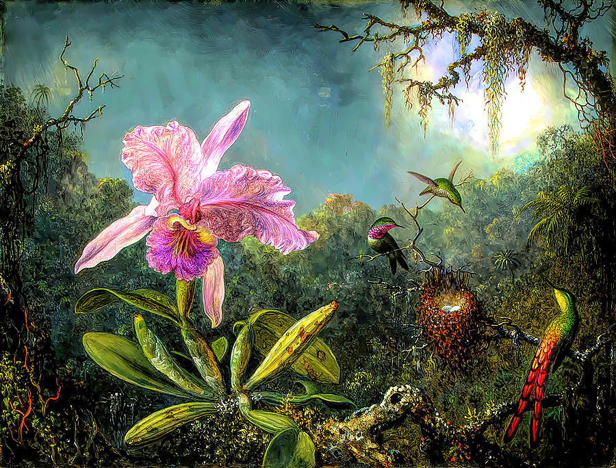 Cattleya Orchid and Three Brazilian Hummingbirds #1 Painting by Martin Johnson Heade