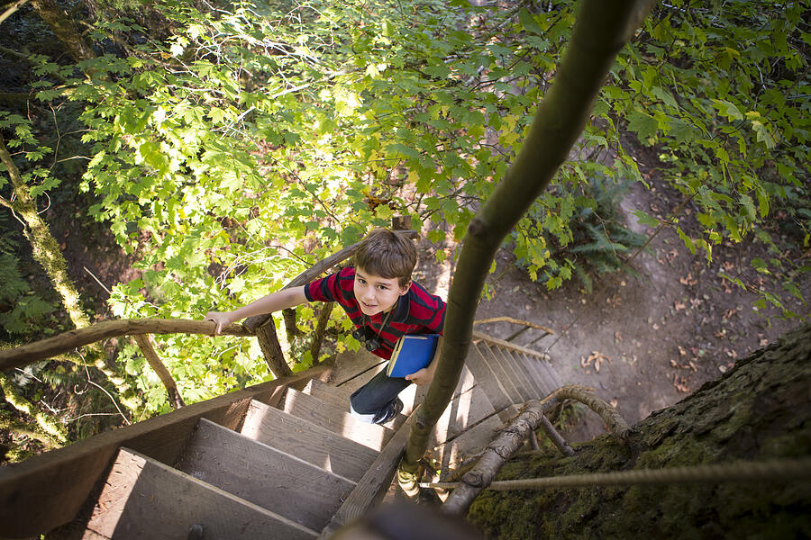 Caucasian boy climbing ladder to tree house #1 Photograph by Adam Crowley