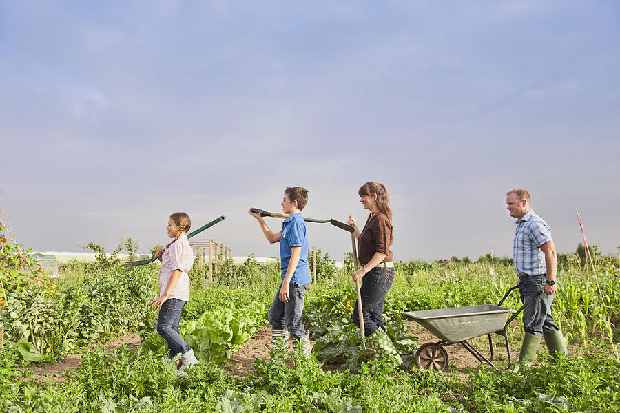 Caucasian farmer family working together in farm fields #1 Photograph by Jacobs Stock Photography Ltd