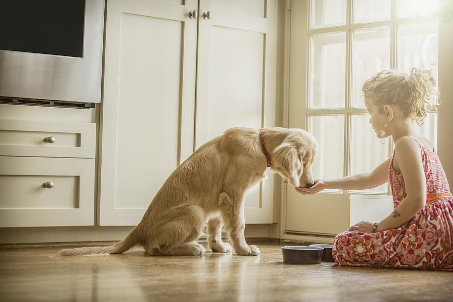 Caucasian girl sitting on kitchen floor feeding dog #1 Photograph by Terry Vine