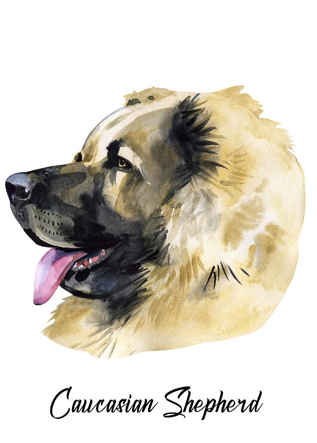 Caucasian Shepherd Dog Breeds #1 Digital Art by Sambel Pedes