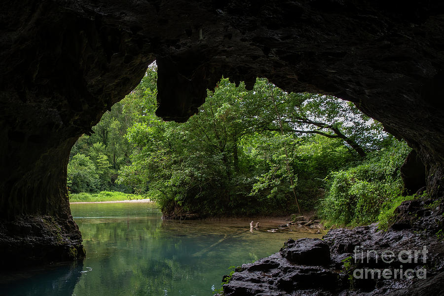 Cave Spring  #1 Photograph by Reva Dow