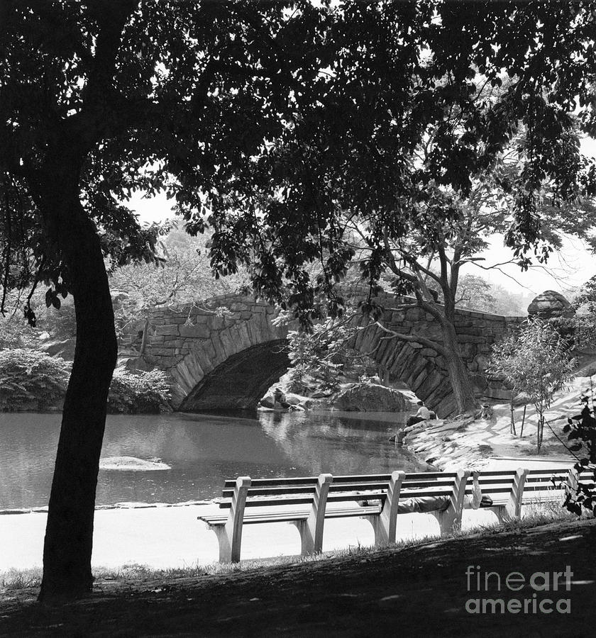 Central Park, New York, 1949 #1 Photograph by Angelo Rizzuto