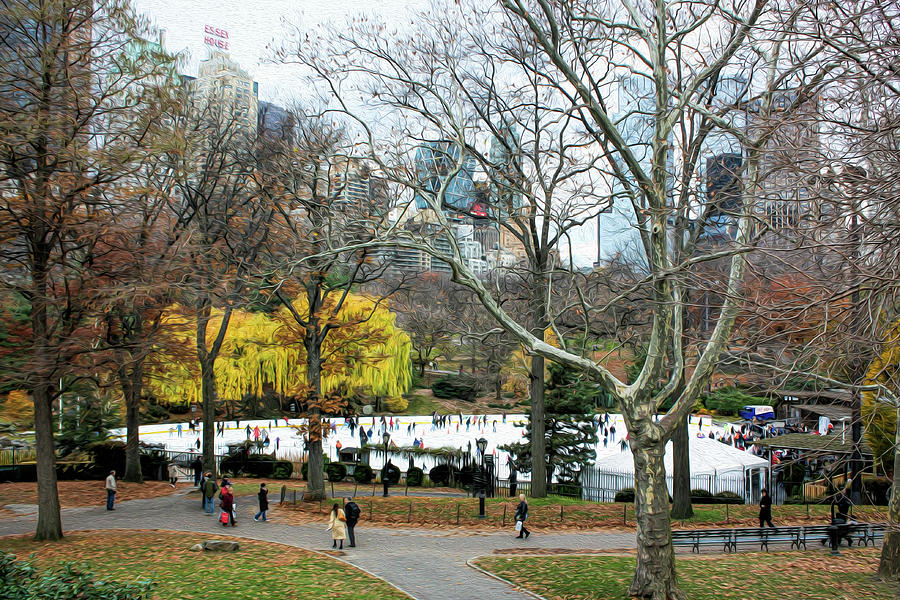 Central Park Scene Photograph
