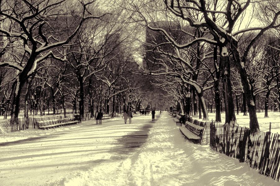 Central Park Winter Path Sepia #1 Photograph by Russel Considine