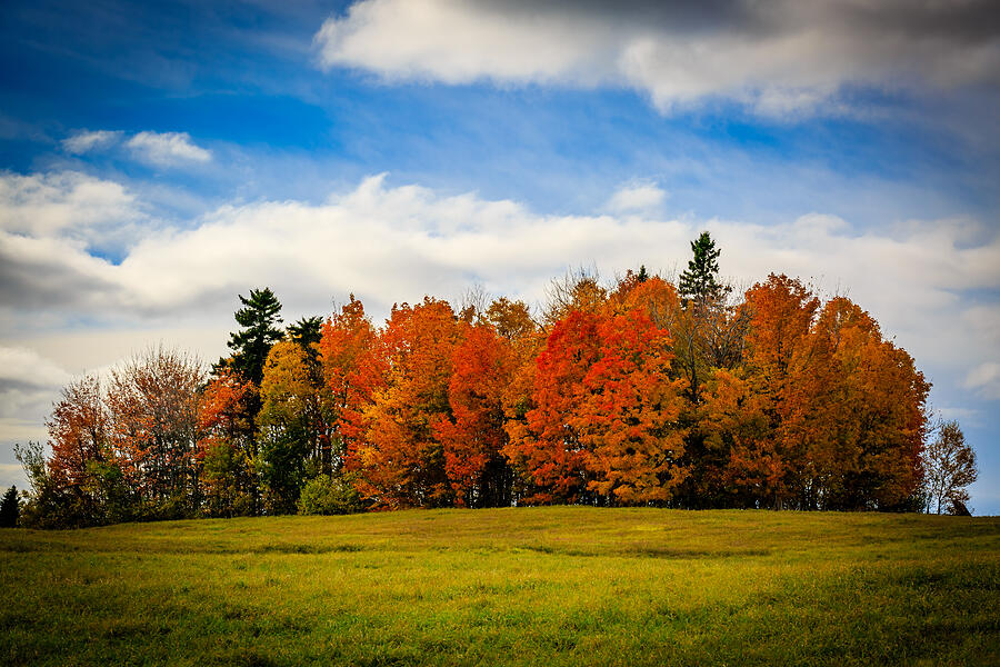 Changing colours - Autumn 2016 #1 Photograph by Khanh Ngo Photography Changing colours - Autumn 2016 #1 Photograph by Khanh Ngo Photography
