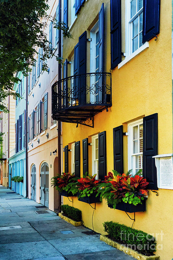 Charleston Colors II Photograph by George Oze - Fine Art America