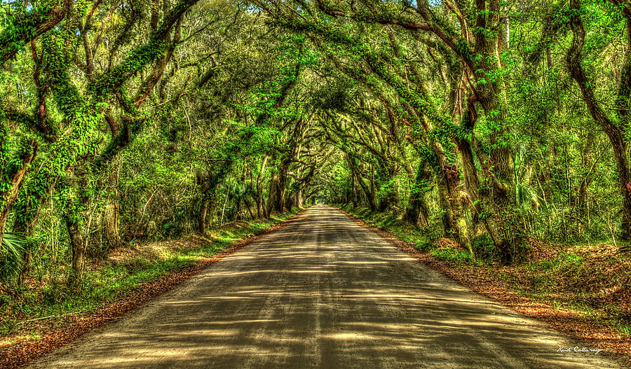Charleston S C The Tree Tunnel Shadows 5 Edisto Island Botany Bay Road ...