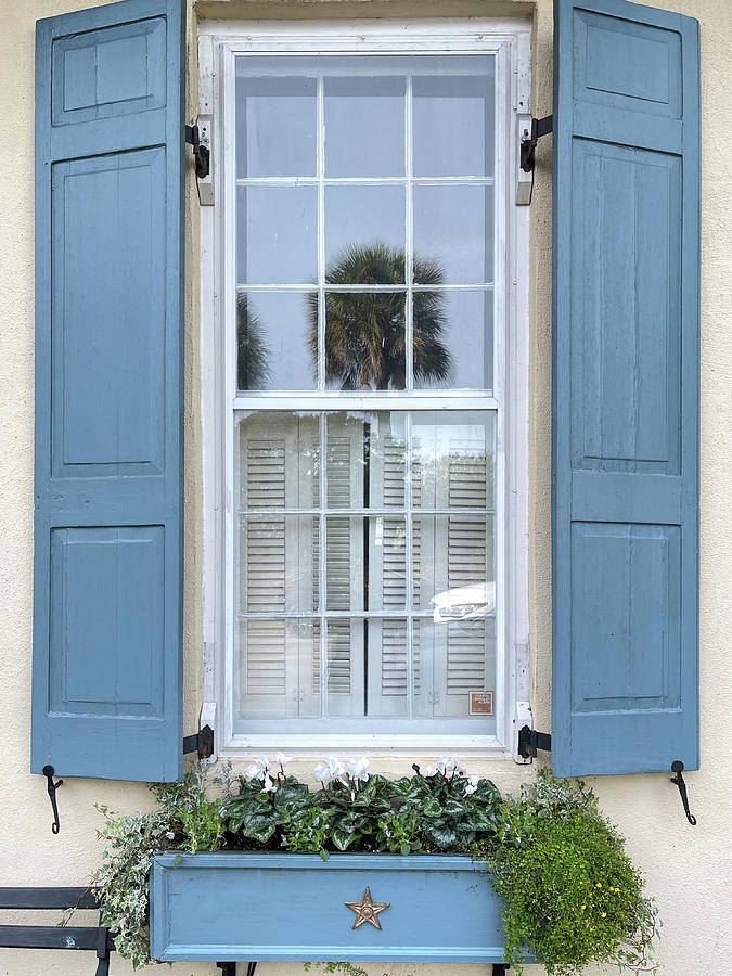 Charleston Window, South Carolina #1 Photograph by Dawna Moore Photography