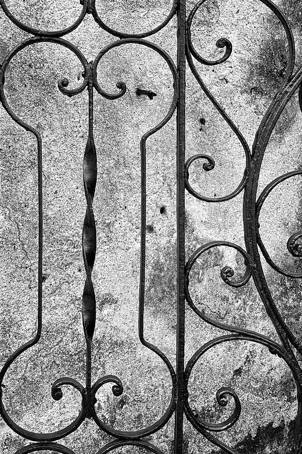 Charleston Wrought Iron Garden Gate in Detail, South Carolina #1 Photograph by Dawna Moore Photography