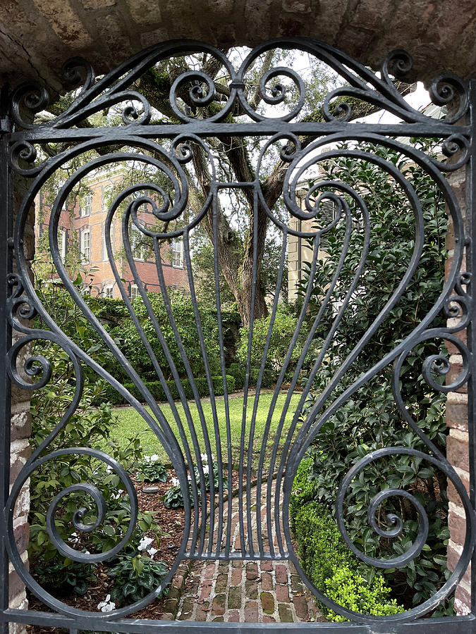 Charleston Wrought Iron Garden Gate, South Carolina #1 Photograph by Dawna Moore Photography