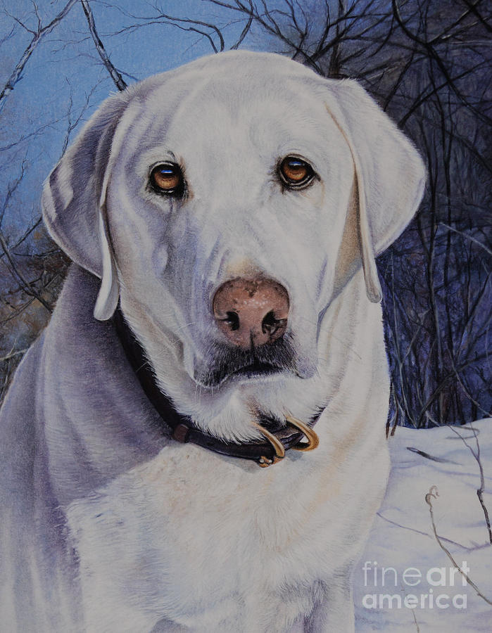 Dog Pastel - Charlie  #1 by Joni Beinborn