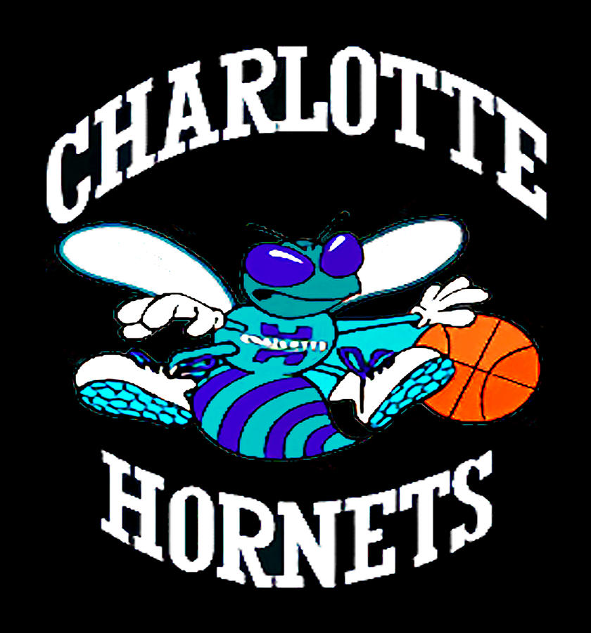 Charlotte Hornets Digital Art by Jung Jeha - Fine Art America