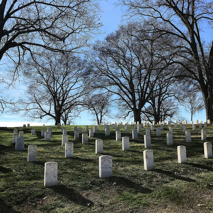 Chattanooga National Cemetery #1 Photograph by George Taylor