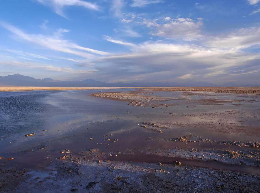 Chaxa Lagoon, Atacama Desert, Chile #1 Photograph by Louise Heusinkveld