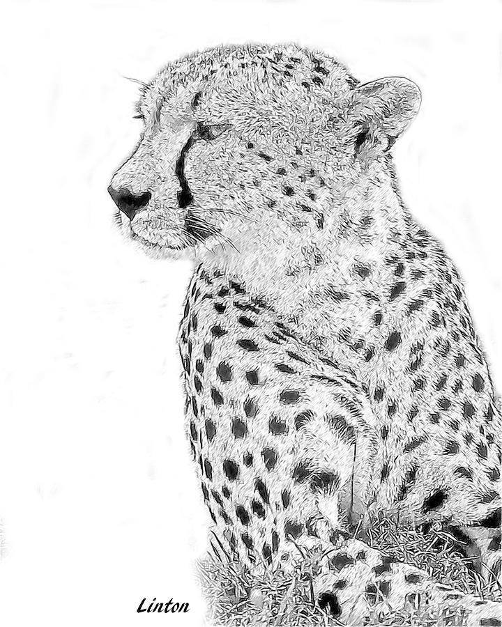 Cheetah 6 #1 Digital Art by Larry Linton