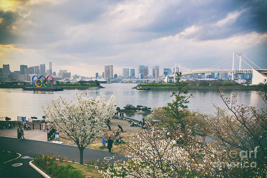 Cherry Blossom, Japan #1 Photograph by Kiran Joshi