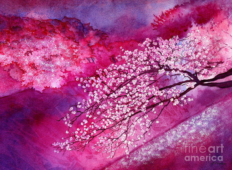 Cherry Blossoms Painting