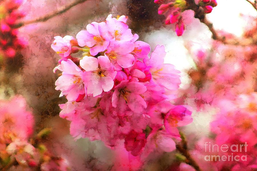 Cherry Blossoms of Spring in Washington - 2 Photograph by Sea Change Vibes