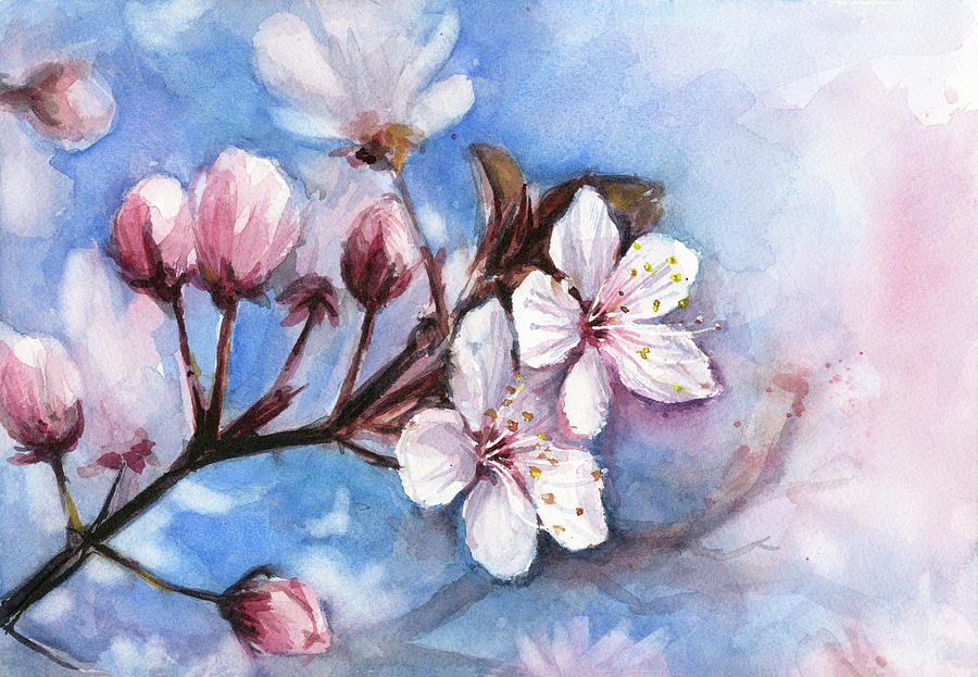 Flower Painting - Cherry Blossoms by Olga Shvartsur