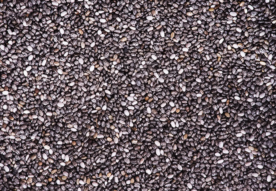Chia  Seeds #1 Photograph by Tycoon751