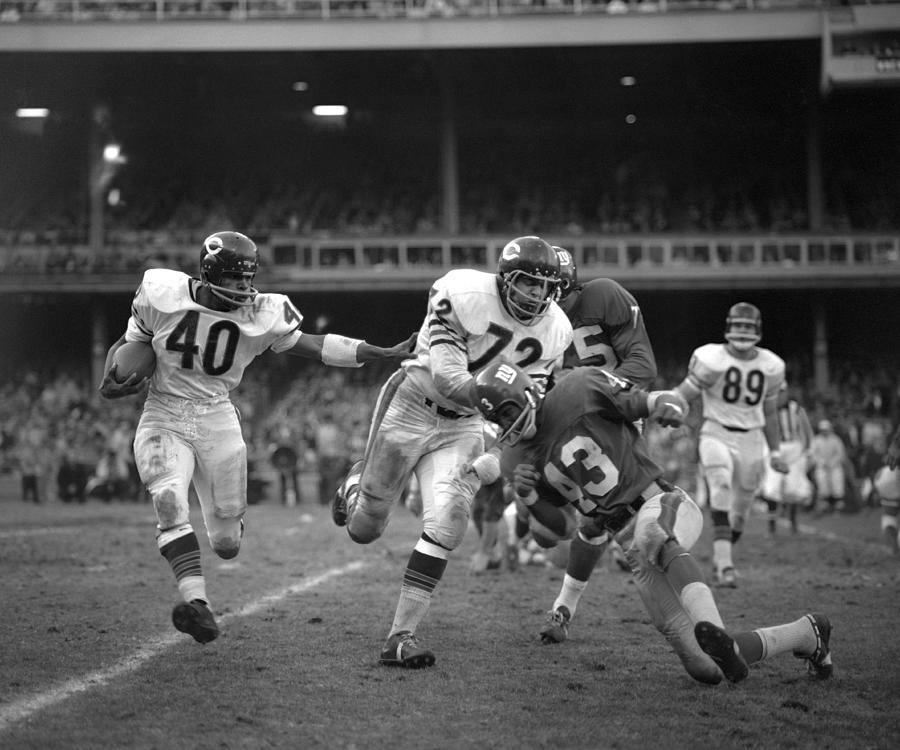 Chicago Bears v New York Giants #1 Photograph by Kidwiler Collection