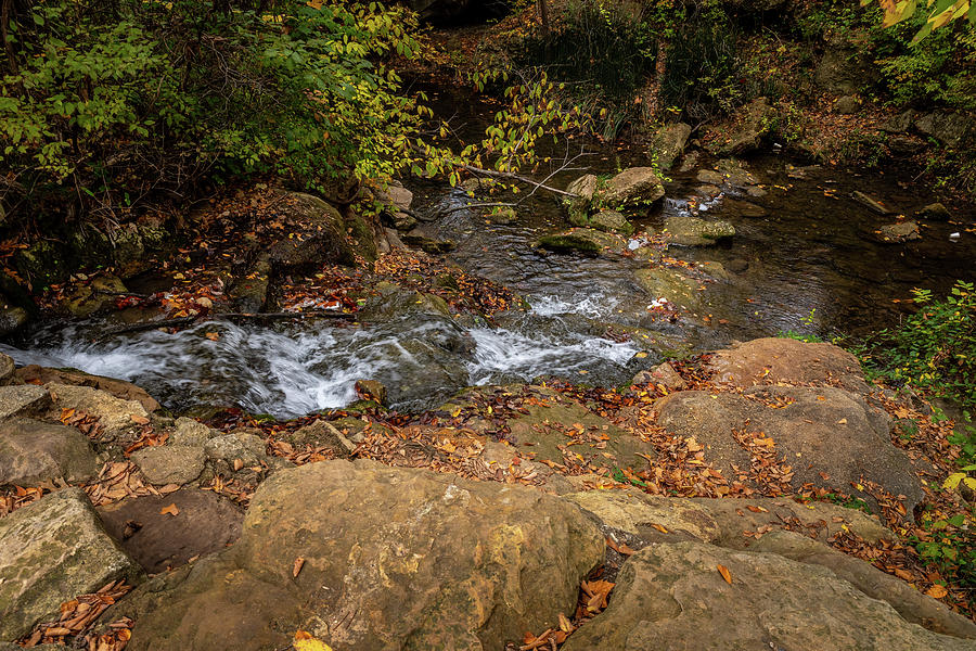 Chickasaw National Recreation Area #1 Photograph by Doug Long