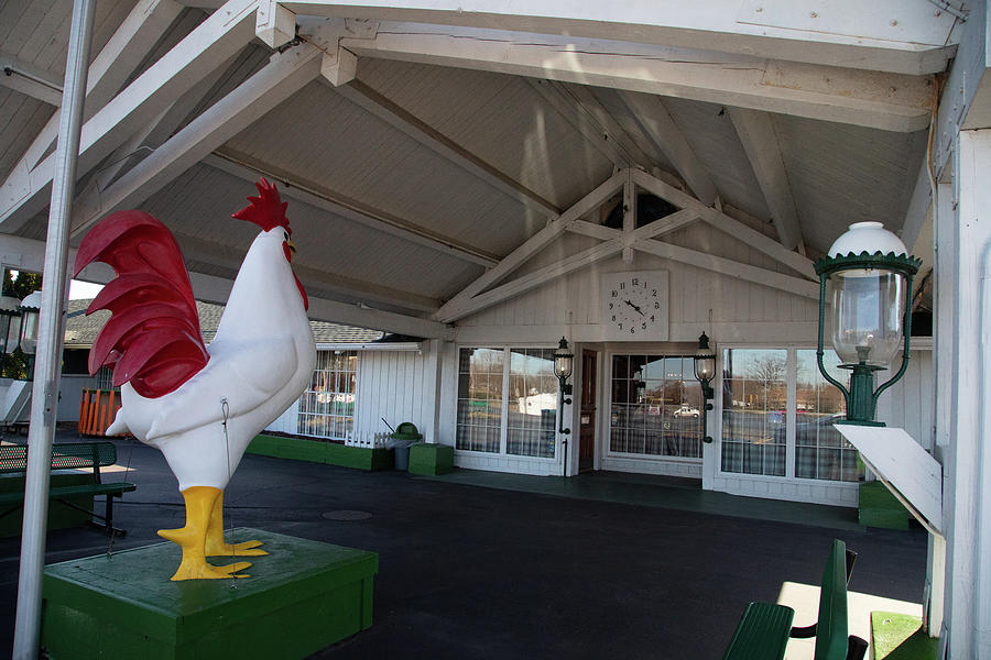 Chicken statue on Historic Route 66 at White Fence Farm in Romeoville Illinois #1 Photograph by Eldon McGraw