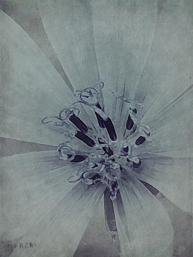 Chicory Flower  #1 Digital Art by Mariam Bazzi