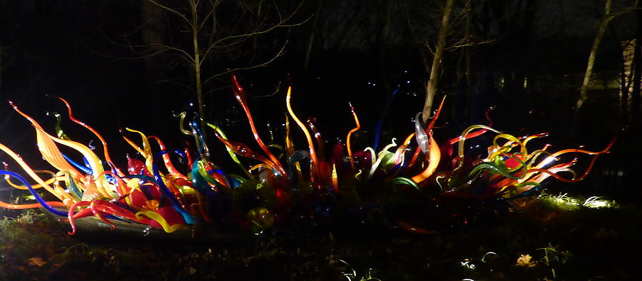 Chihuly Glass Sculpture Fiori Boat Photograph
