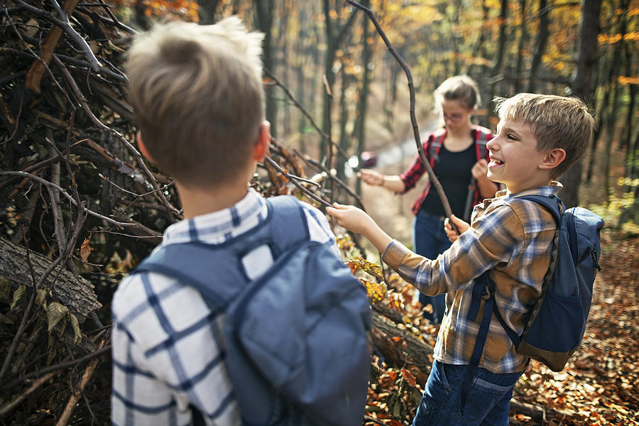 Children building stick shelter in autumn forest #1 Photograph by Imgorthand
