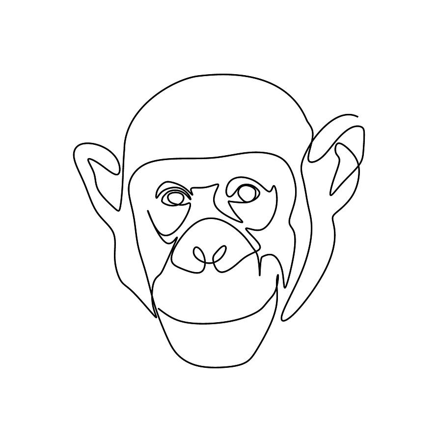 Chimpanzee Line Art Drawing by Riz San | Fine Art America