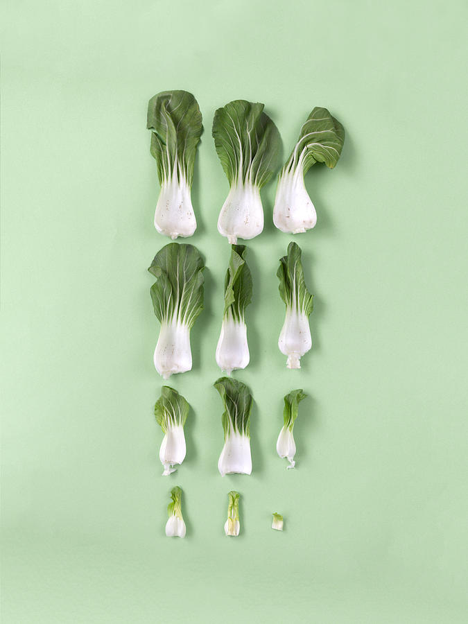 Chinese cabbage on pastel green background. Pastels. Greenery #1 Photograph by Malorny