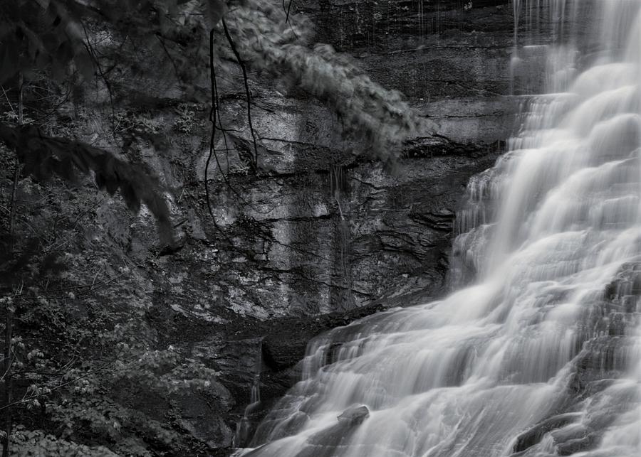 Chittenango Falls Photograph by Brad Nellis