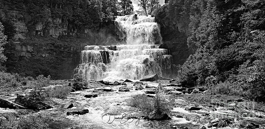 Chittenango Falls July #1 Photograph by Diane E Berry