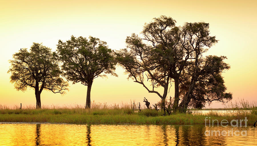 Chobe River Sunset Photograph
