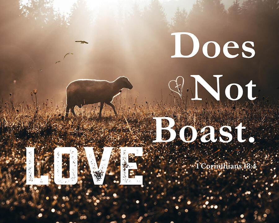 Christian Bible Verse - Love Does Not Boast #1 Mixed Media by Bob Pardue