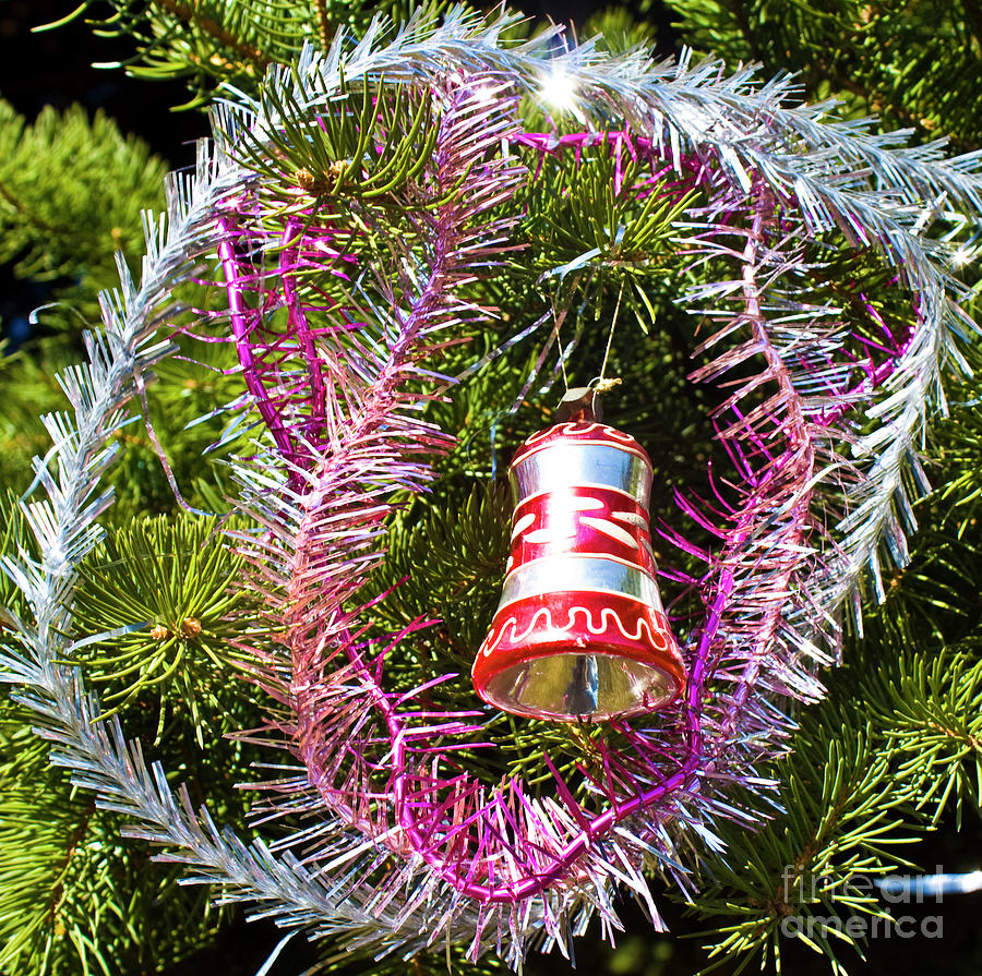 Christmas decoration #1 Photograph by Irina Afonskaya