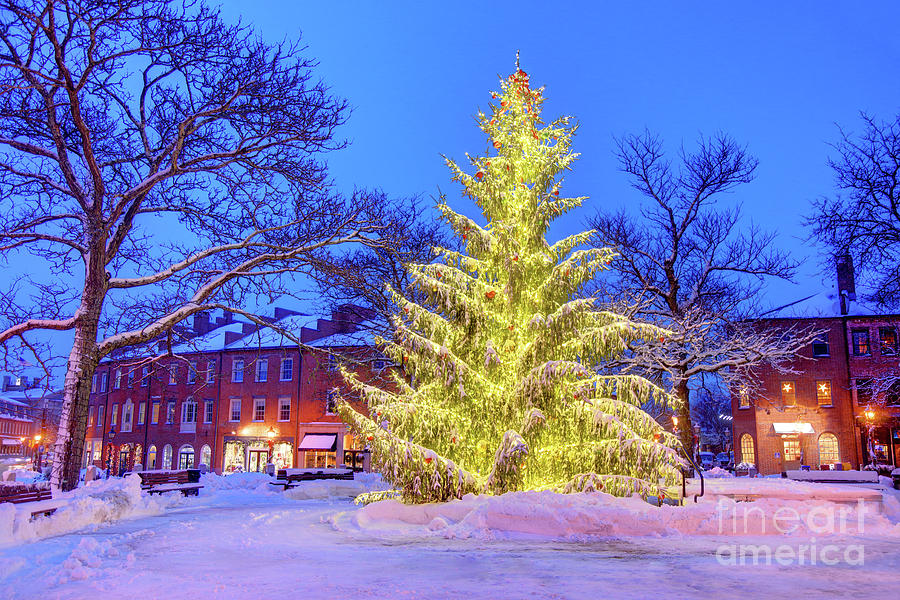 Christmas in Newburyport Massachusetts Photograph by Denis Tangney Jr